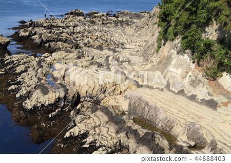 神奈川縣三浦半島的Arasaki海岸的雕刻美 神奈川縣三浦半島的Arasaki海岸的雕刻美 44888403