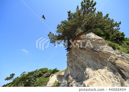 Sculptural beauty of Arasaki coast on Miura Peninsula, Kanagawa Prefecture 44888404