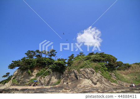 神奈川縣三浦半島的Arasaki海岸的雕刻美 44888411