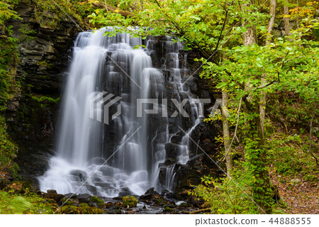 Nishikimi Falls Nishikimi Falls 44888555