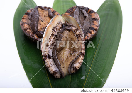 Abalone ingredients 44888699