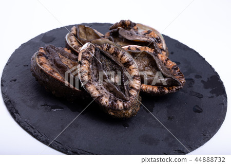 Abalone ingredients 44888732