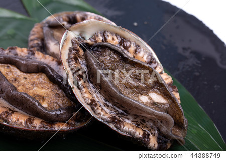 Abalone ingredients 44888749