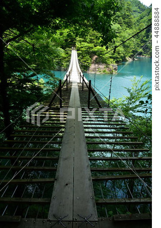 靜岡縣川本鎮Sumatakyo夢想的懸索橋 44888884