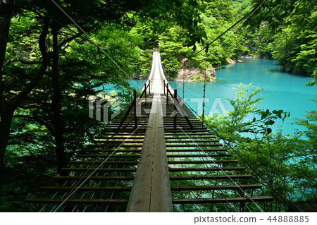 靜岡縣川本鎮Sumatakyo夢想的懸索橋 44888885