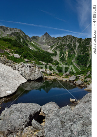 Mt. Mt. 44889192