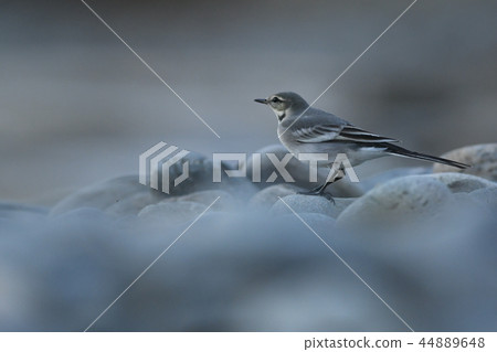 After sunset, on the riverside 44889648