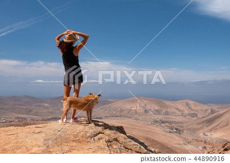 girl watching the panorama with her puppy dog girl watching the panorama with her puppy dog 44890916