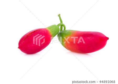 Coccinia grandis raw green on a white background. 44891068