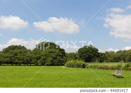 Square and bench 44891417