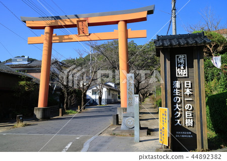 Gamo Hachiman Shrine Gamo Hachiman Shrine 44892382