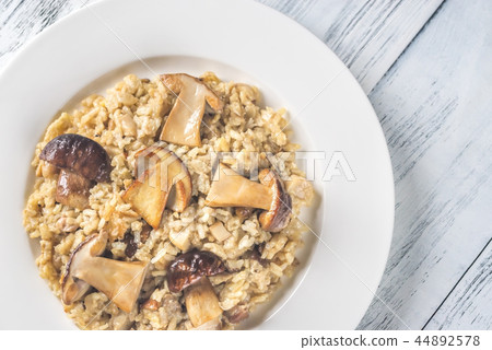 Risotto with porcini mushrooms 44892578
