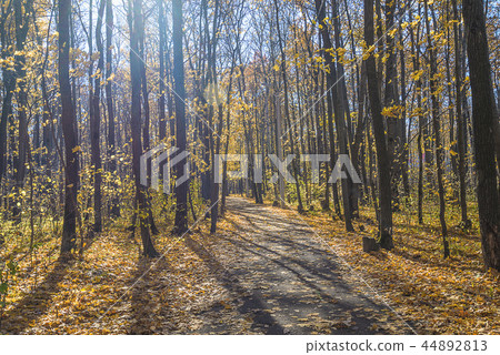 Beautiful autumn landscape on sunny day Beautiful autumn landscape on sunny day 44892813