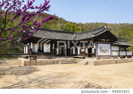 Yongin Folk Village Yongin Folk Village 44893801