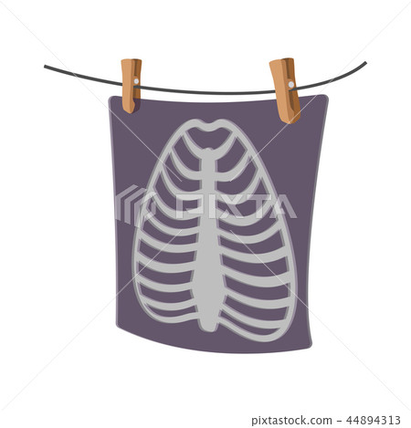 X-Ray of a human rib cage cartoon icon X-Ray of a human rib cage cartoon icon 44894313
