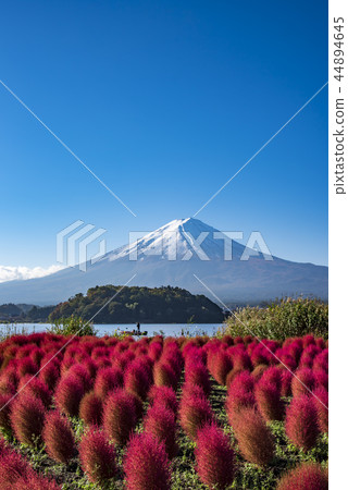 [Kokia Mt. Fuji] 44894645