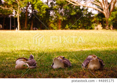 殺戮場 殺戮場 44895175