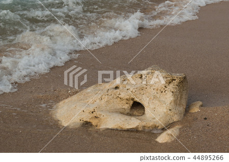 Stone on the beach - design of animal skull 44895266