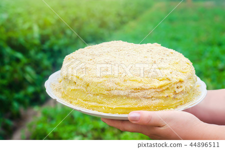 Napoleon cake in female hands. sweet food. Napoleon cake in female hands. sweet food. 44896511