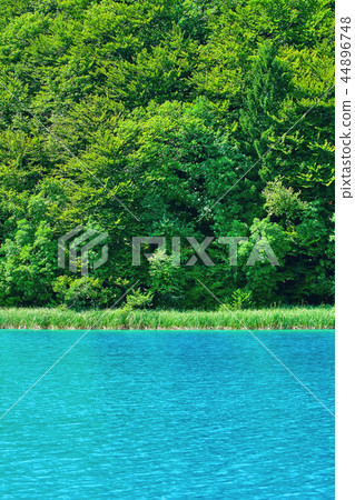 Plitvice Lakes National Park Plitvice Lakes National Park 44896748