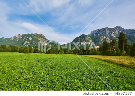 Rugged Hill in Hohenschwangau Rugged Hill in Hohenschwangau 44897137