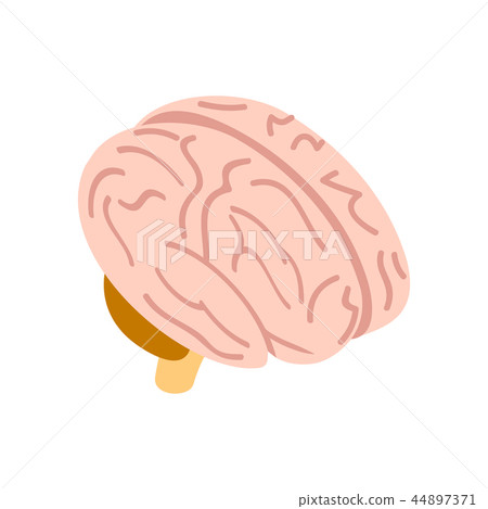 Human brain isometric 3d icon 44897371