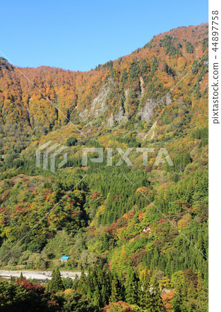 Akiyamago的秋天Fuiwa遙遠的看法 44897758