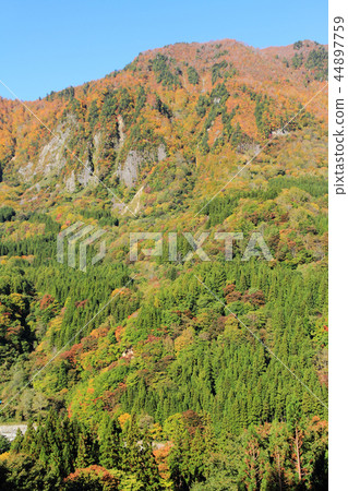 Akiyamago's Autumn Fuiwa distant view Akiyamago's Autumn Fuiwa distant view 44897759