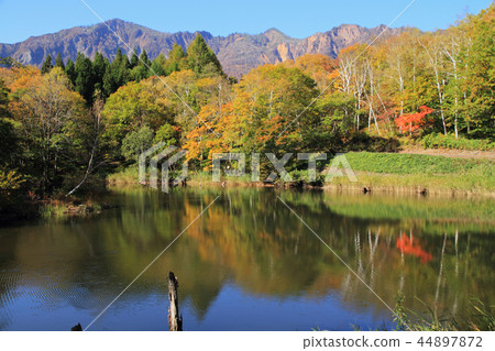 Akiyamago's autumn sky pond Akiyamago's autumn sky pond 44897872