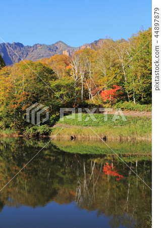 Akiyamago's autumn sky pond 44897879