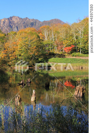 Akiyamago's autumn sky pond Akiyamago's autumn sky pond 44897880