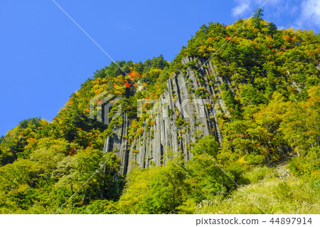 Fuiwa of autumnal leaves 44897914