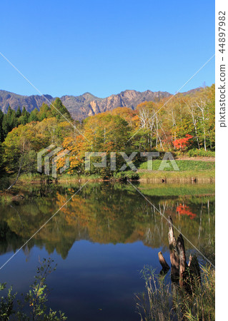 Akiyamago's autumn sky pond 44897982