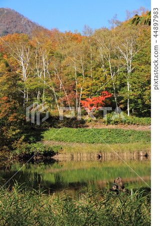 Akiyamago's autumn sky pond 44897983