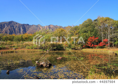 Akiyamago Akiike 44897984