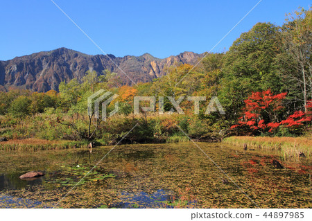 Akiyamago Akiike 44897985