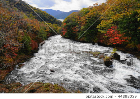 十月，140琉球瀑布的秋葉 44898059