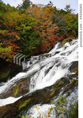 十月日光139 Ryugano瀑布/秋葉 44898060