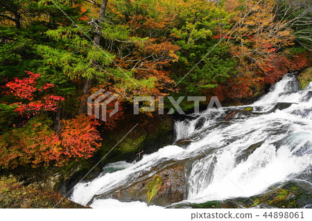 十月日光138 Ryugano瀑布/秋葉 44898061