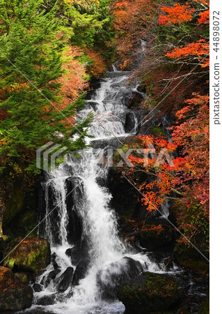 Oct 127 Nikko 127 Ryuto Waterfall, Autumn leaves 44898072