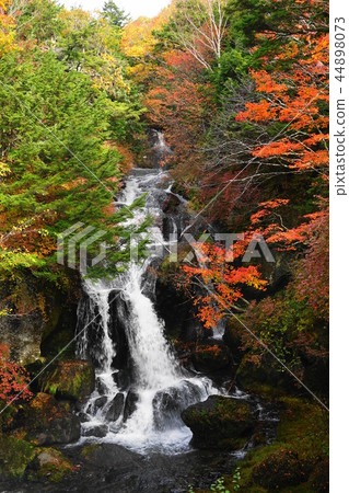 Oct 126 Nikko 126 Ryugano Falls / Autumn leaves Oct 126 Nikko 126 Ryugano Falls / Autumn leaves 44898073