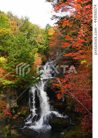 10月Nikko 125 Ryuto Notaki /秋葉 44898074