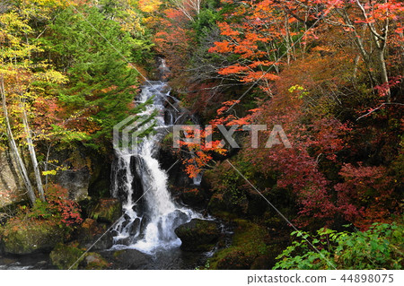October Nikko 124 Ryugano Falls / Autumn leaves 44898075