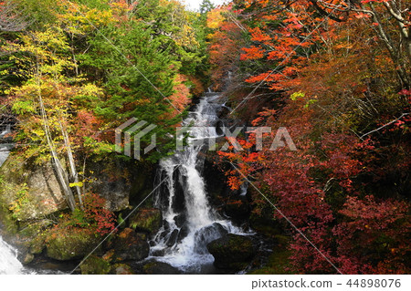 October Nikko 123 Ryugano Falls / Autumn leaves 44898076
