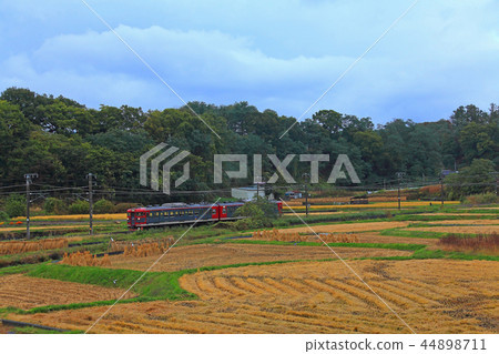 Railway 115 series that runs through the autumn countryside 44898711