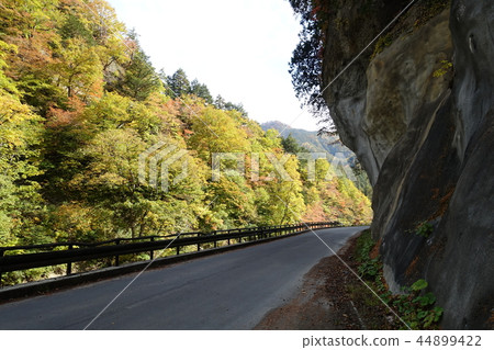 日本百視圖:Okuhana Flower Valley Nagano City Onari 日本百視圖:Okuhana Flower Valley Nagano City Onari 44899422