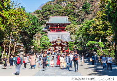 鎌倉鶴岡八幡宮 44899674