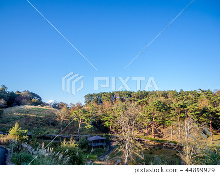 [靜岡縣伊豆市]從度假村看到的富士山[Shuzenji Rainbow Town] 44899929