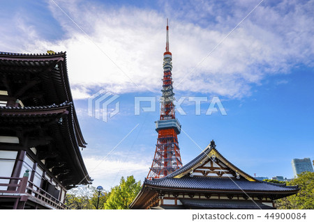 [Tokyo] Jojoji Temple and Tokyo Tower 44900084