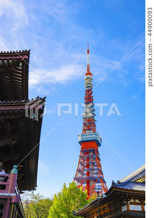 [東京]從Jojoji寺的地面看到的東京塔 44900093